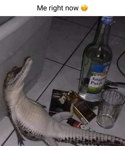 ​​​