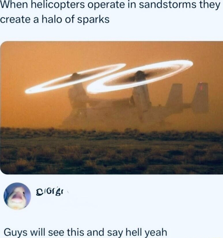​​​