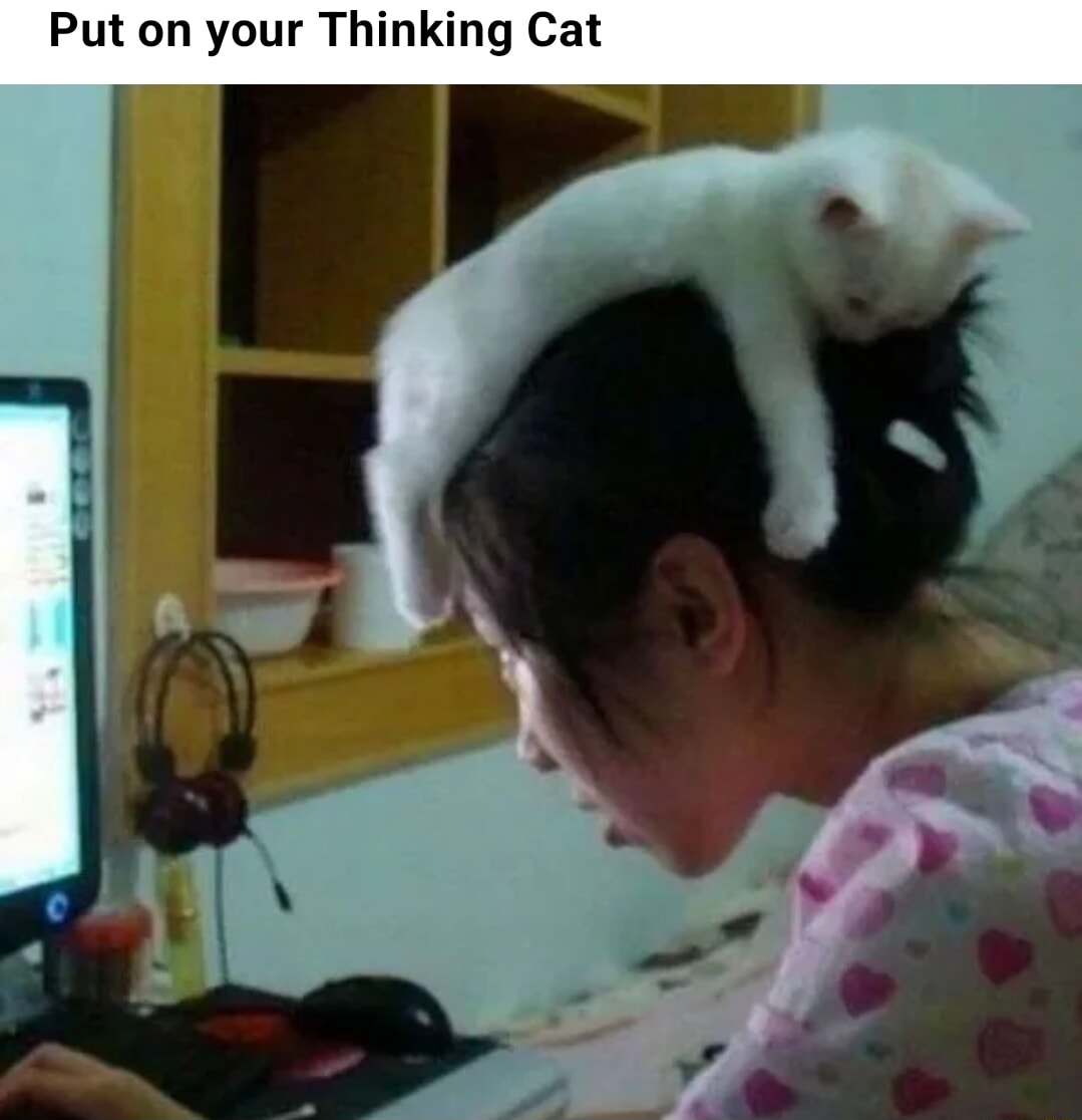 ​​​