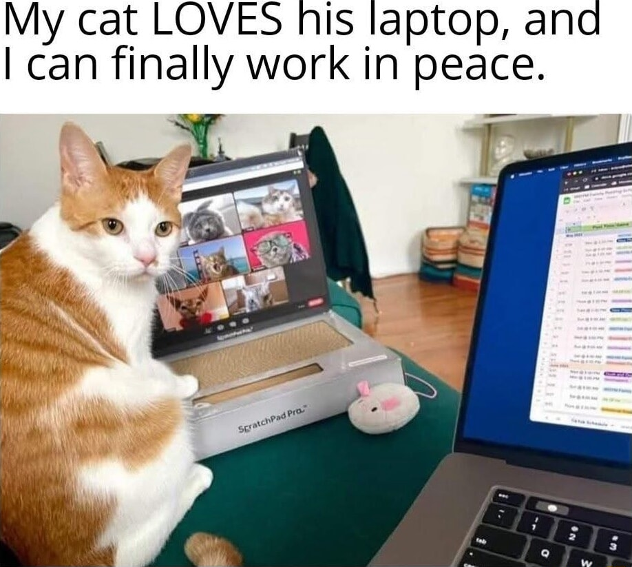 ​​​