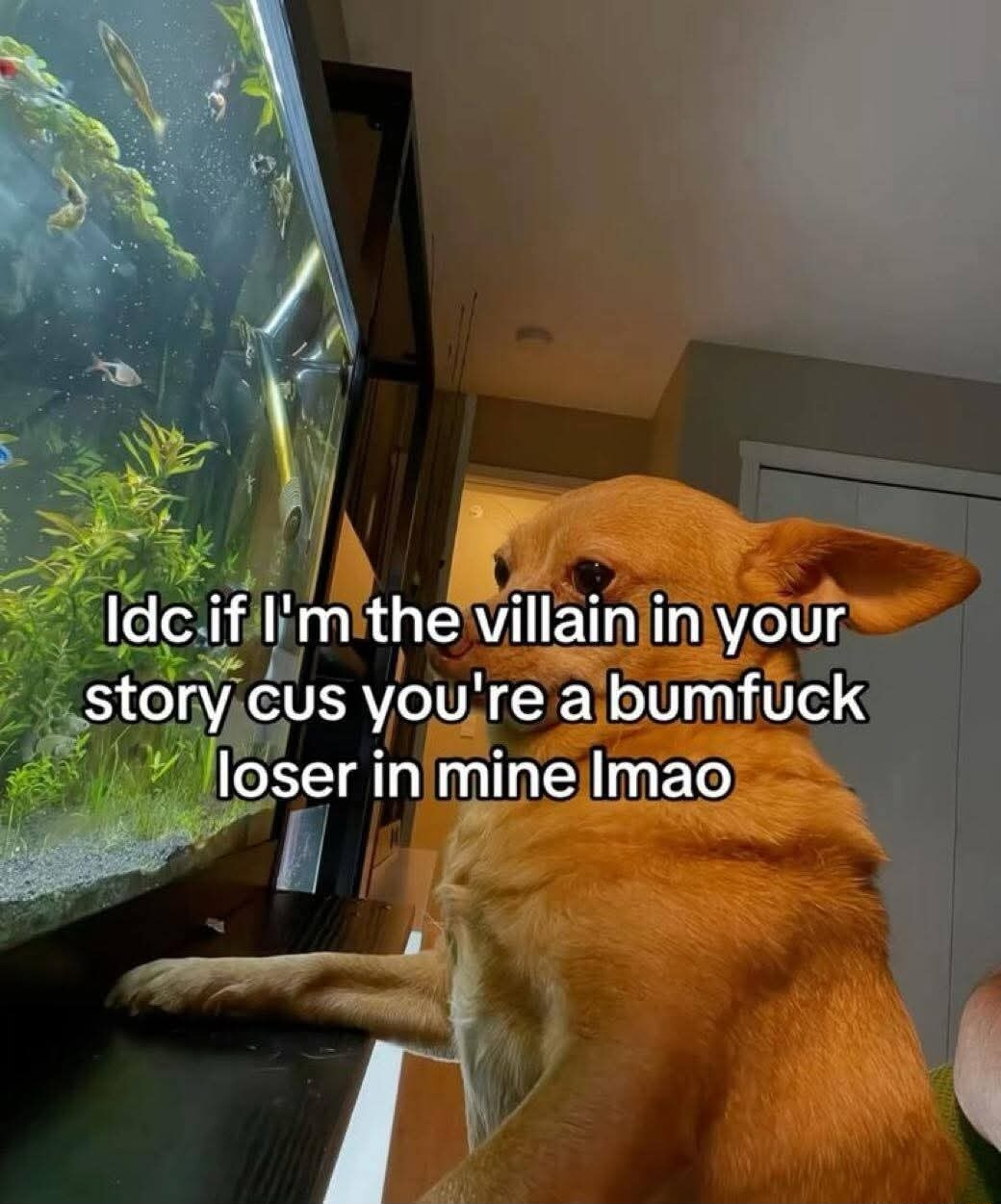​​​