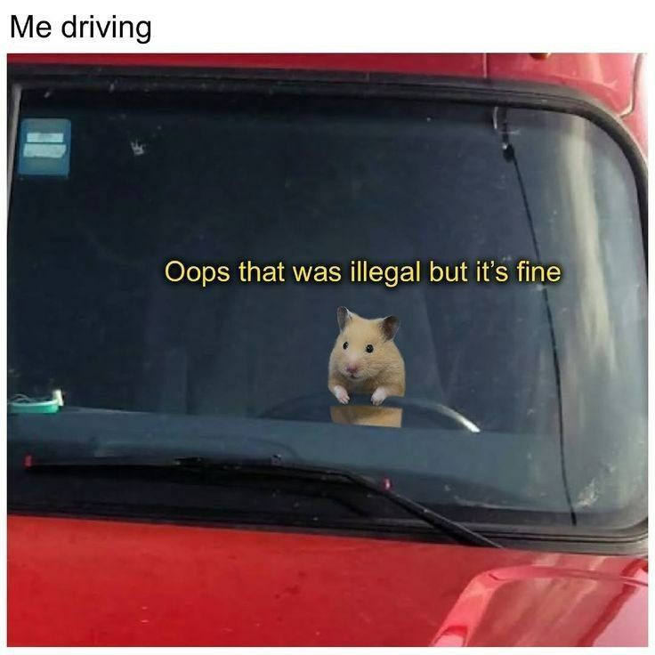 hehe