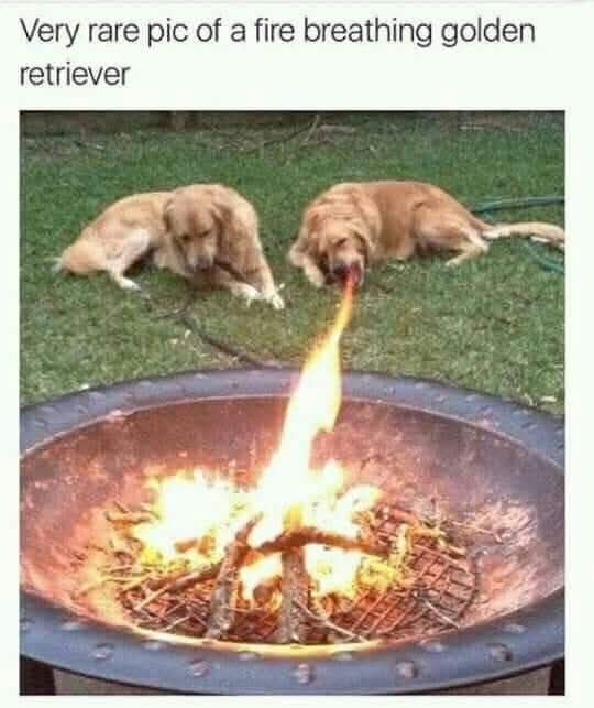 Unlike the Necropolis Skeleton Retriever, that uses melee attacks