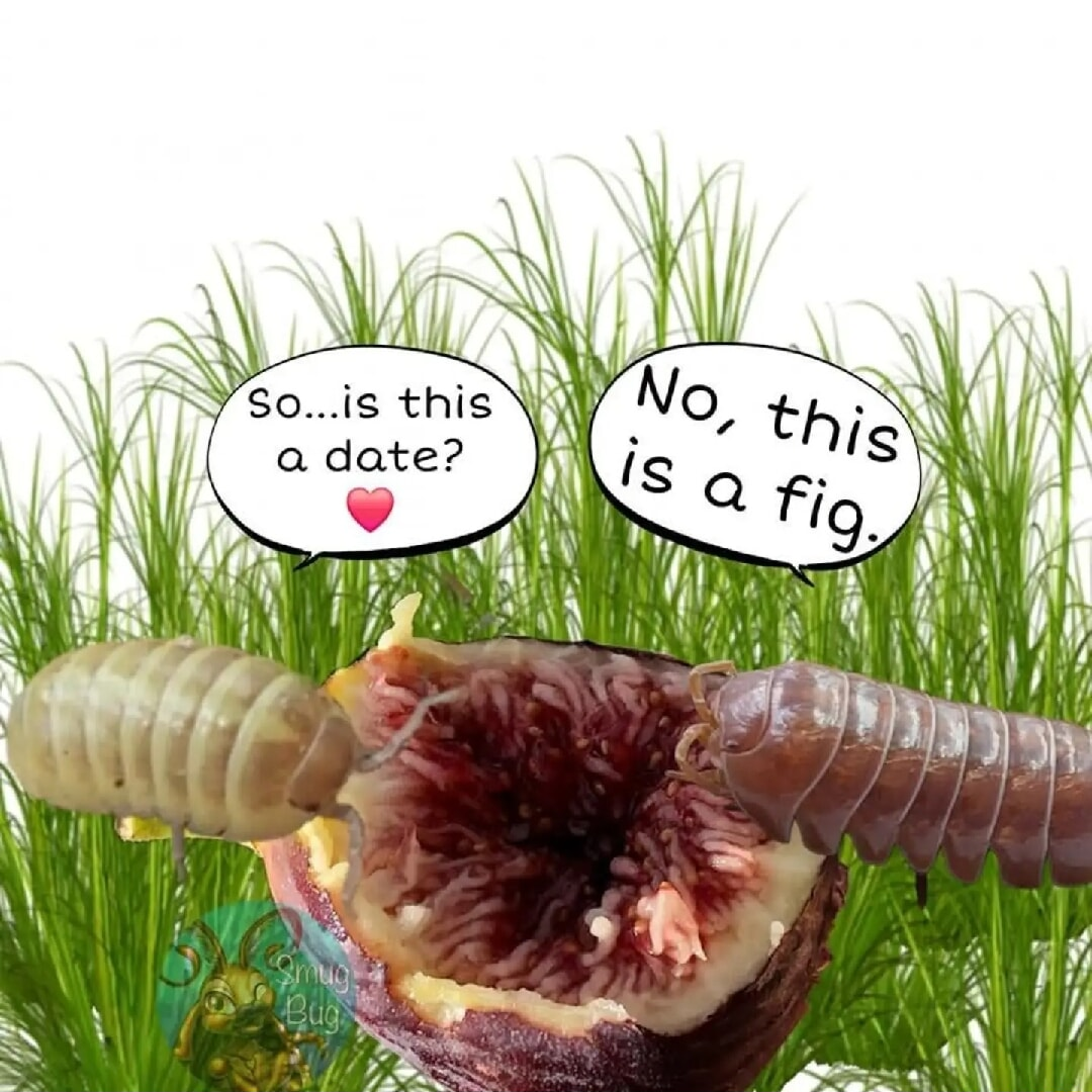 ​​​