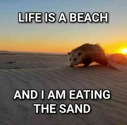 ​​​
