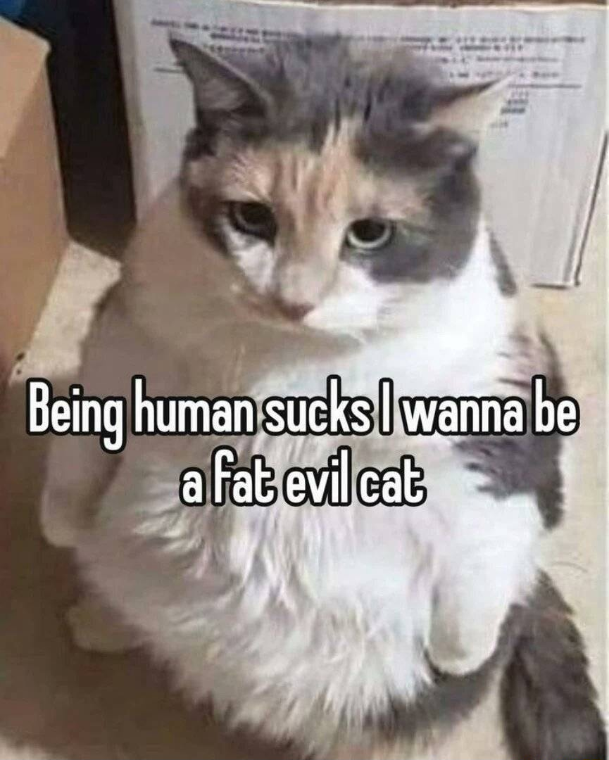 ​​​