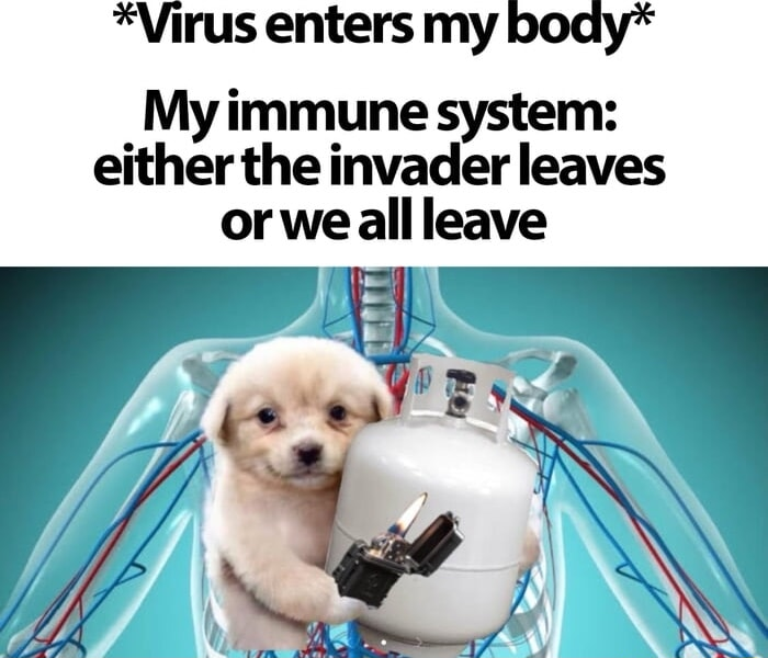 ​​​