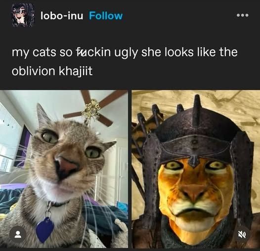 breh