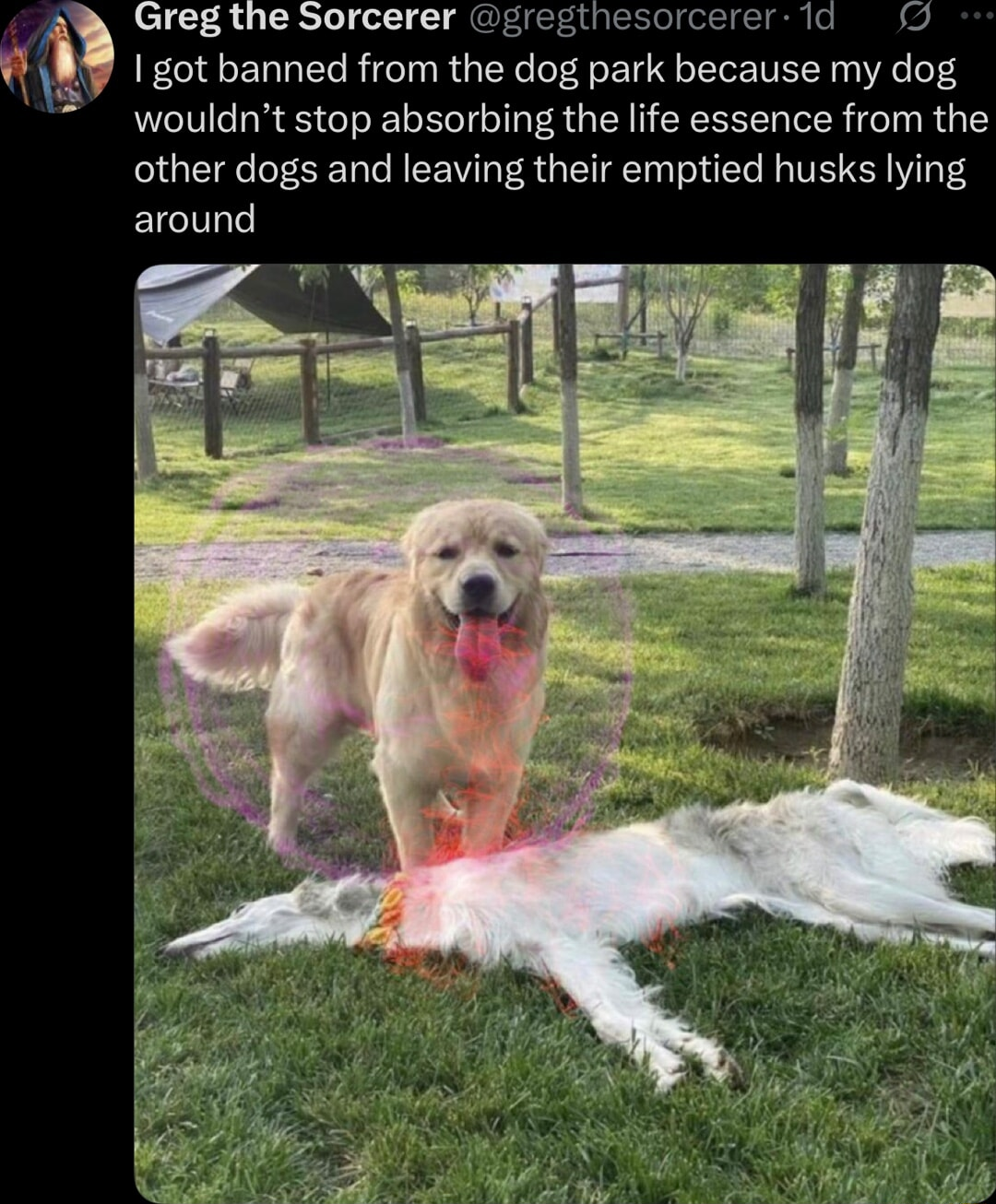 ​​​