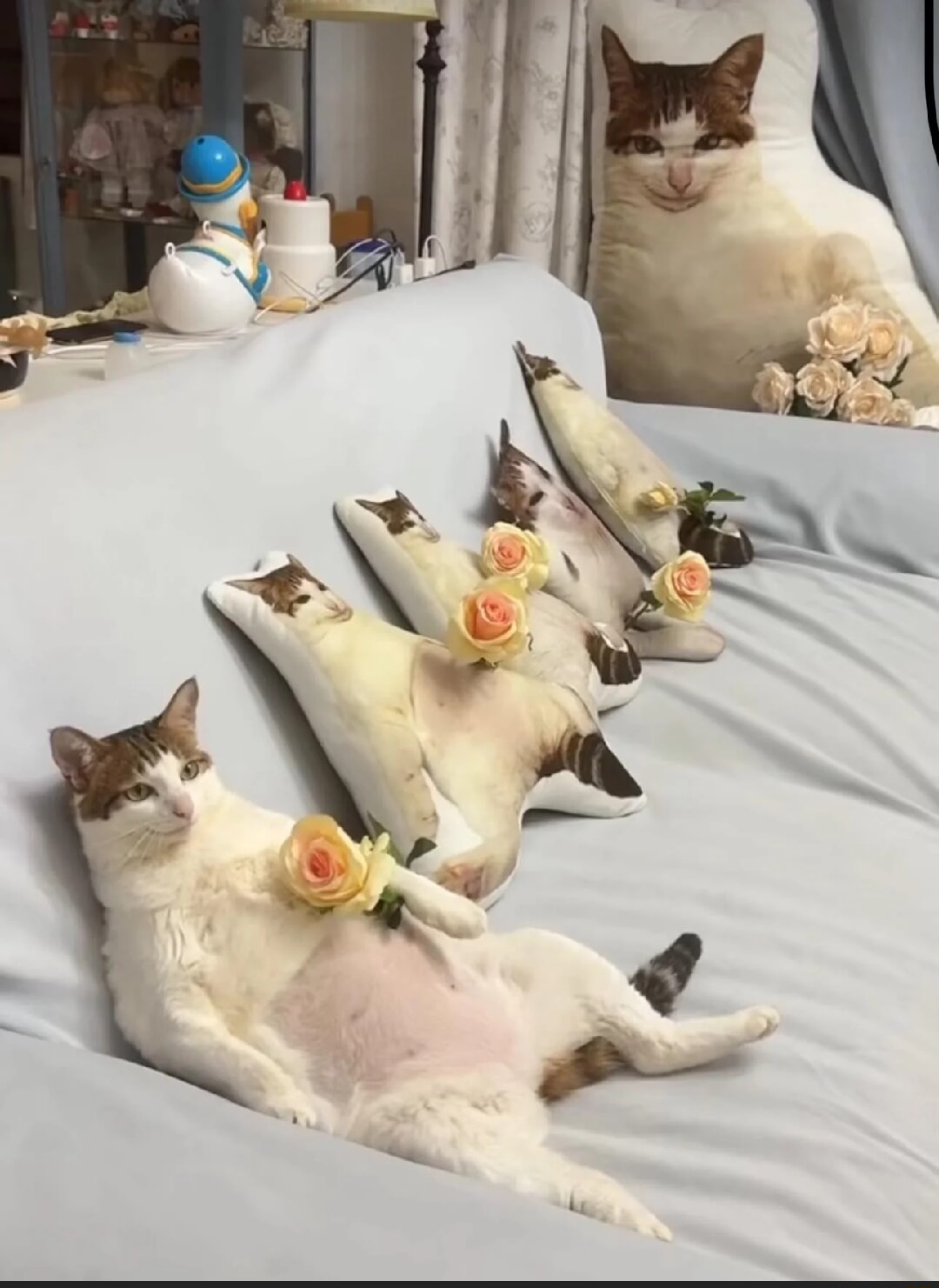 ​​​
