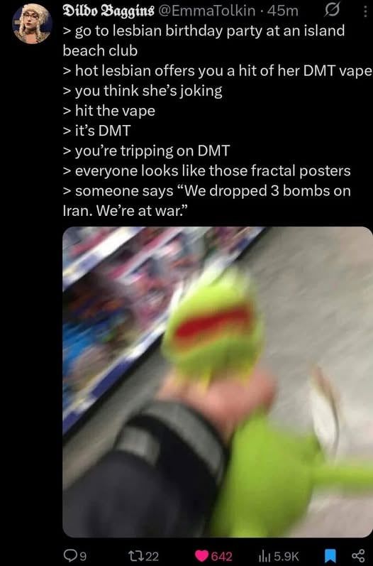 TFW no DMT-vaping lesbian island beach club gf :(