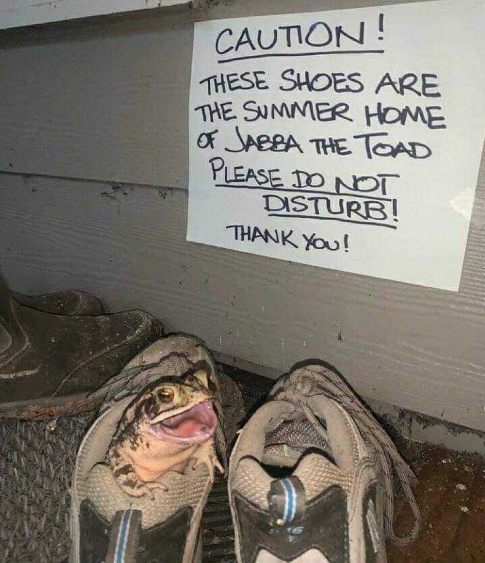 ​​​