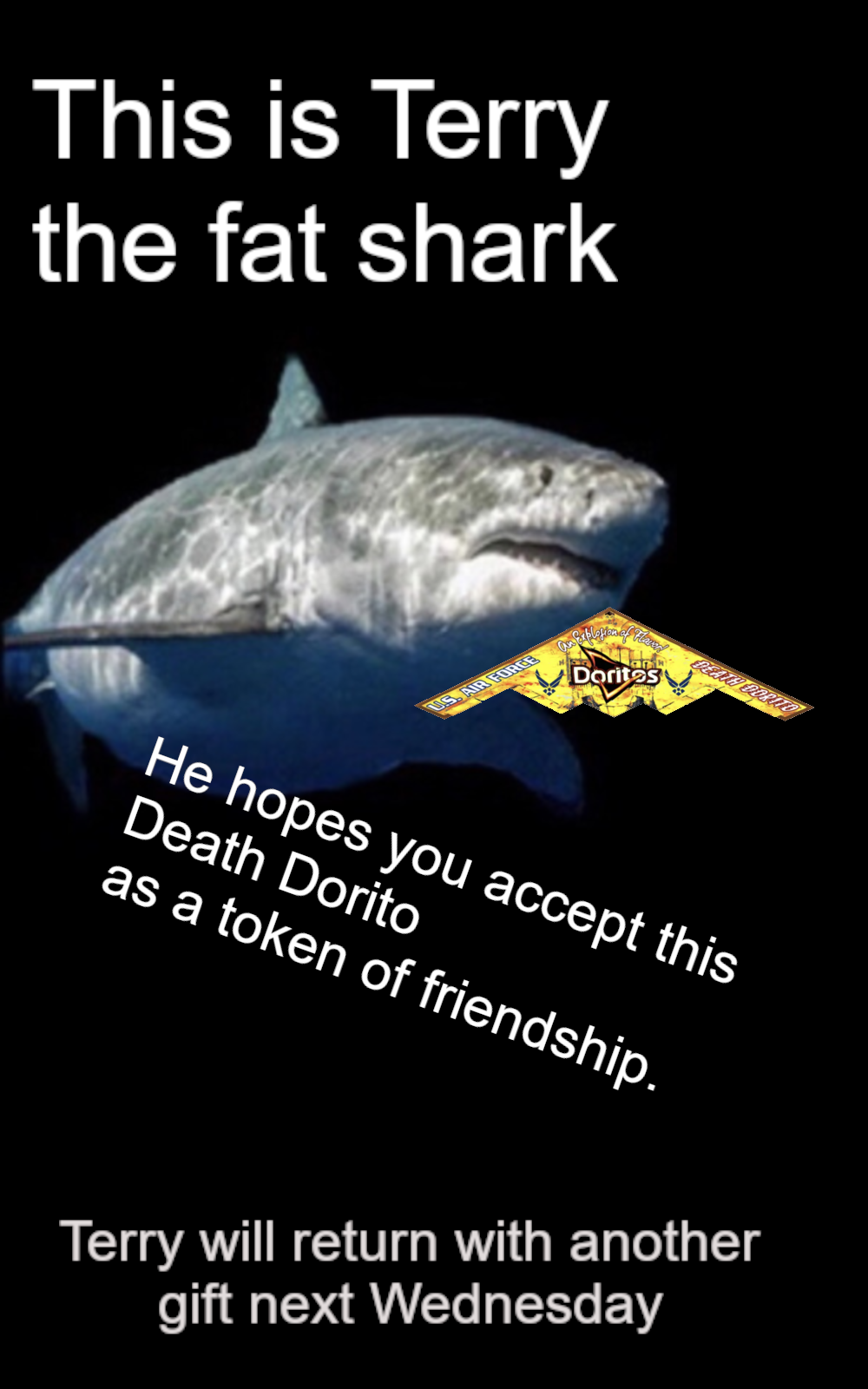 ​​​