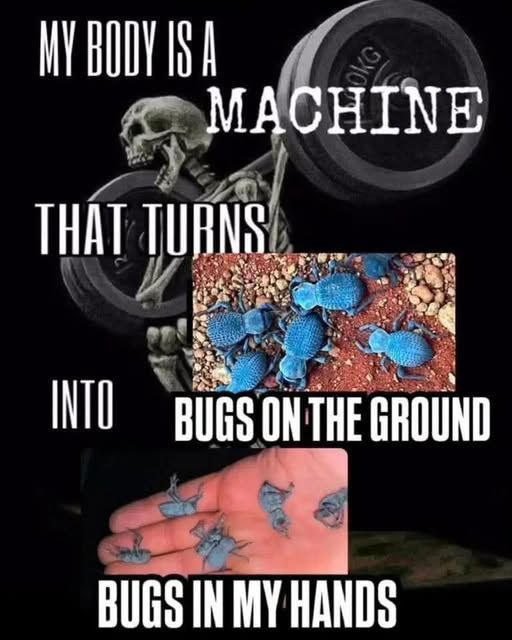 you're telling me there's a bug? i will hold it