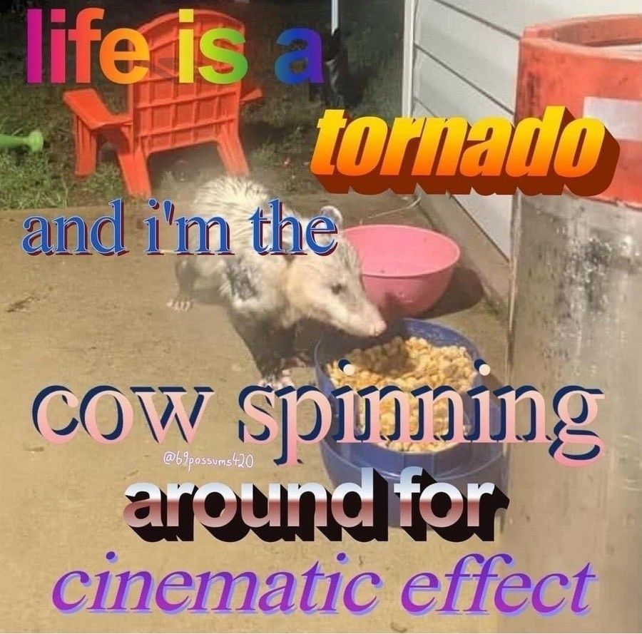 Better than a sharknado, that's for sure