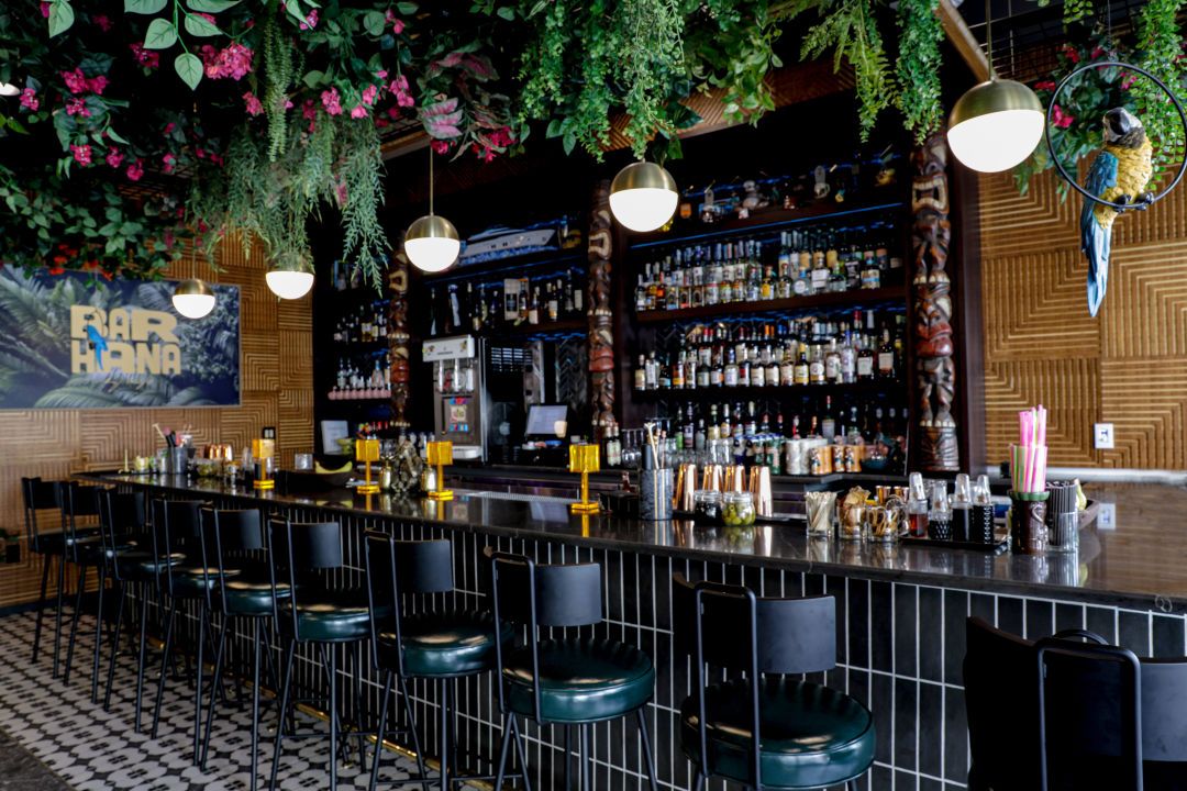 Friday Feels Bar is open! Come in Comrades!