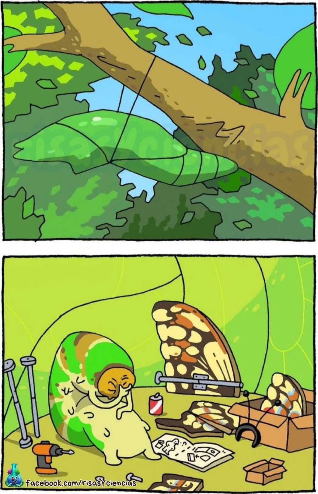 ​​​