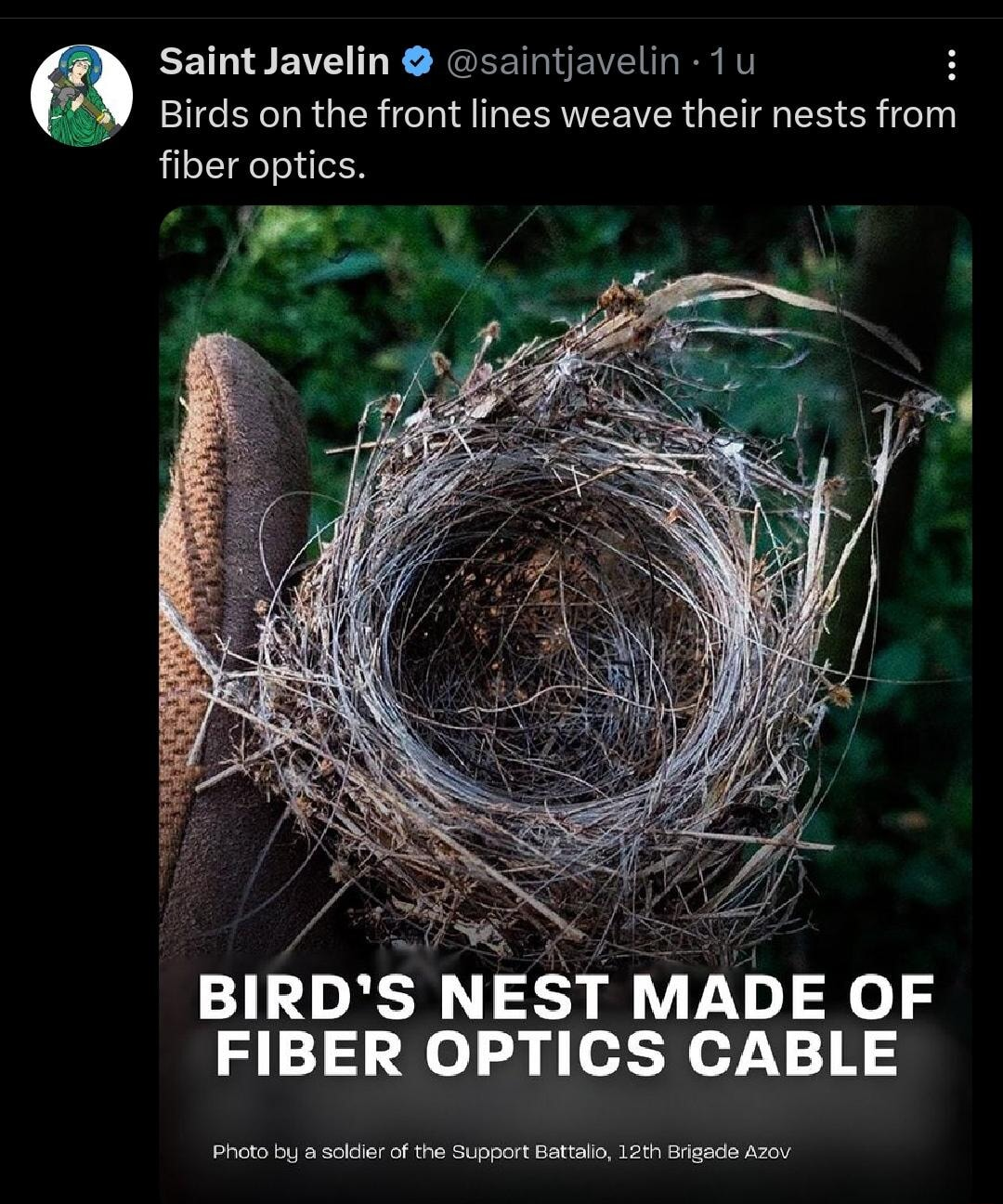 ​​​
