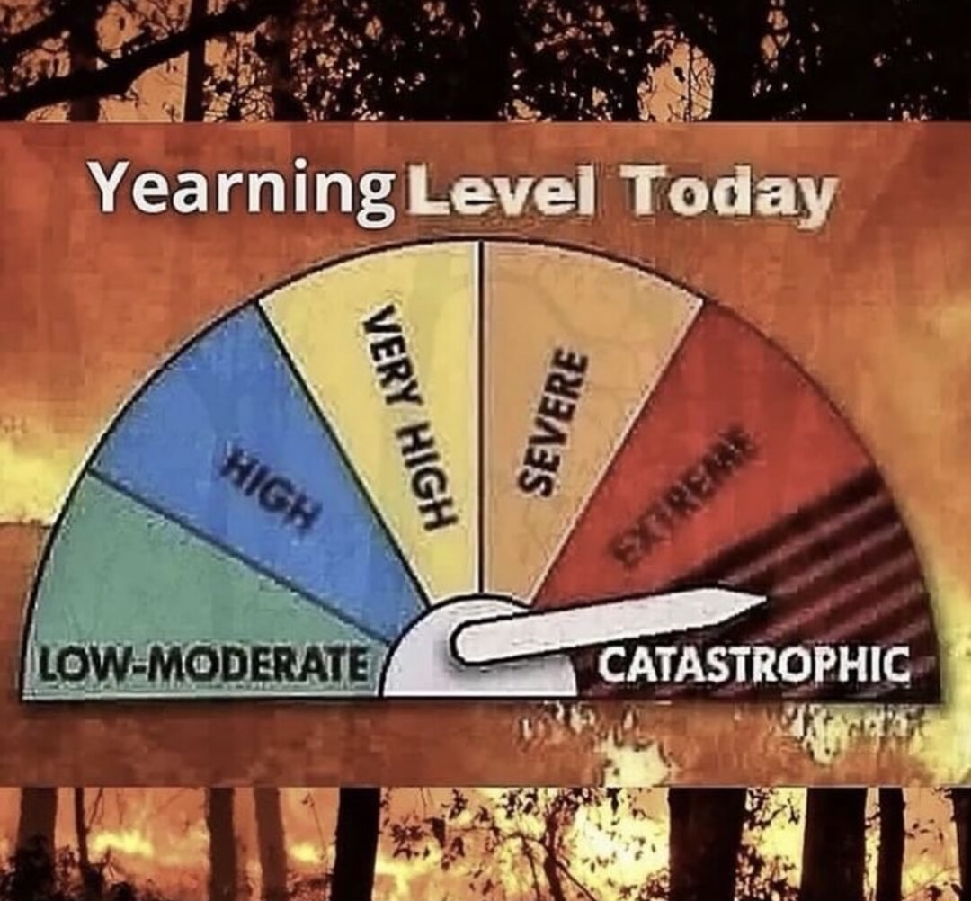 ​​​
