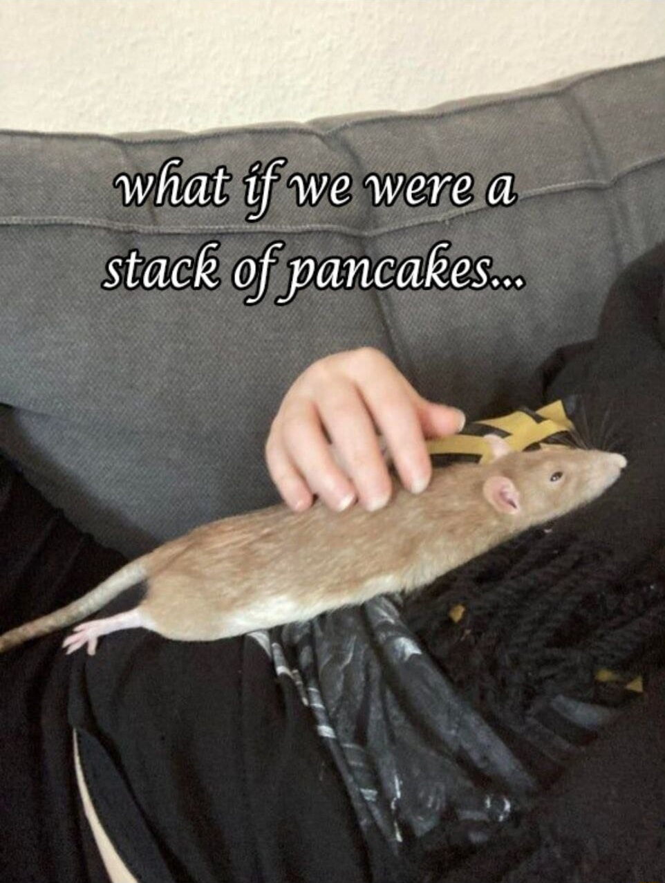 ​​​