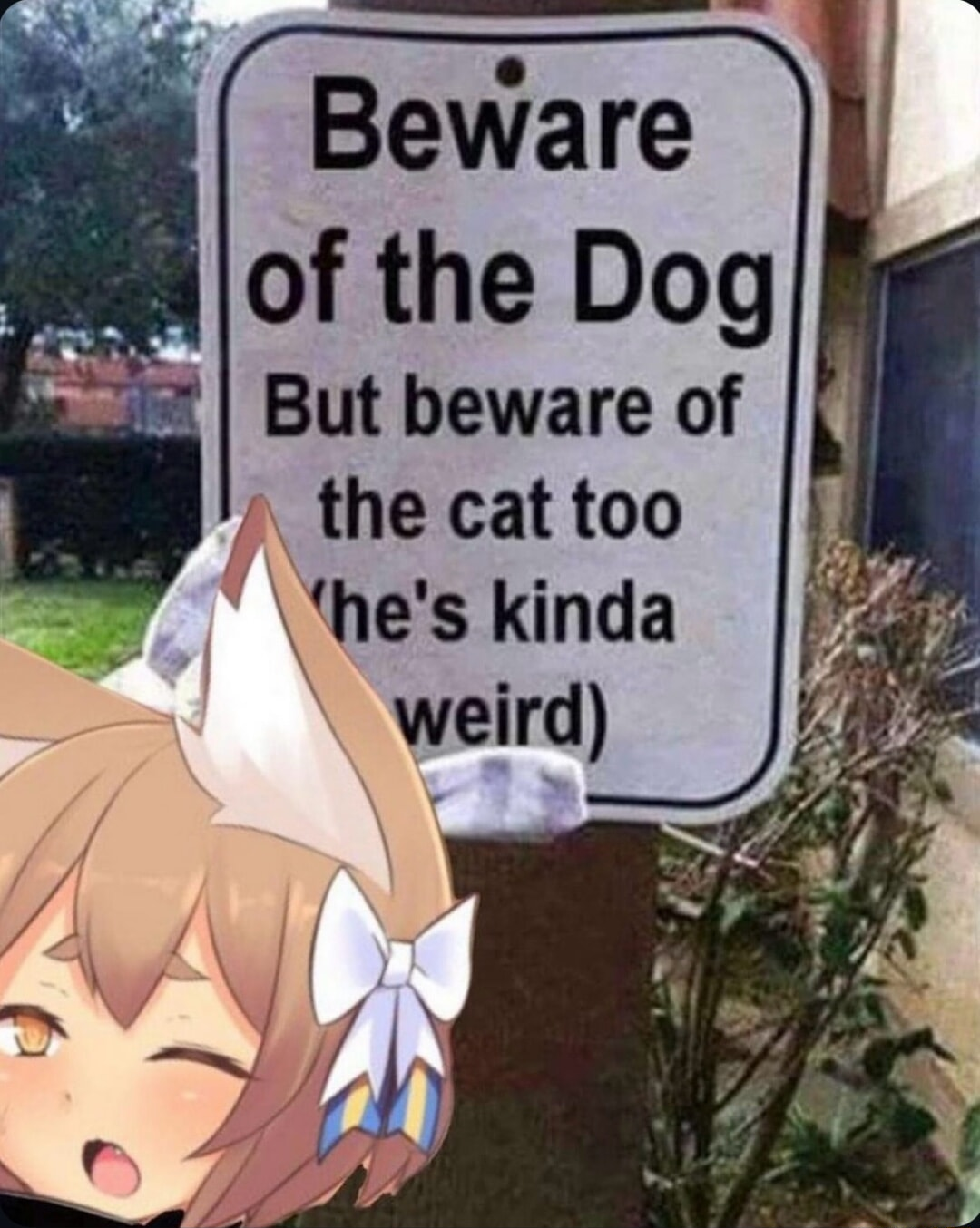 ​​​