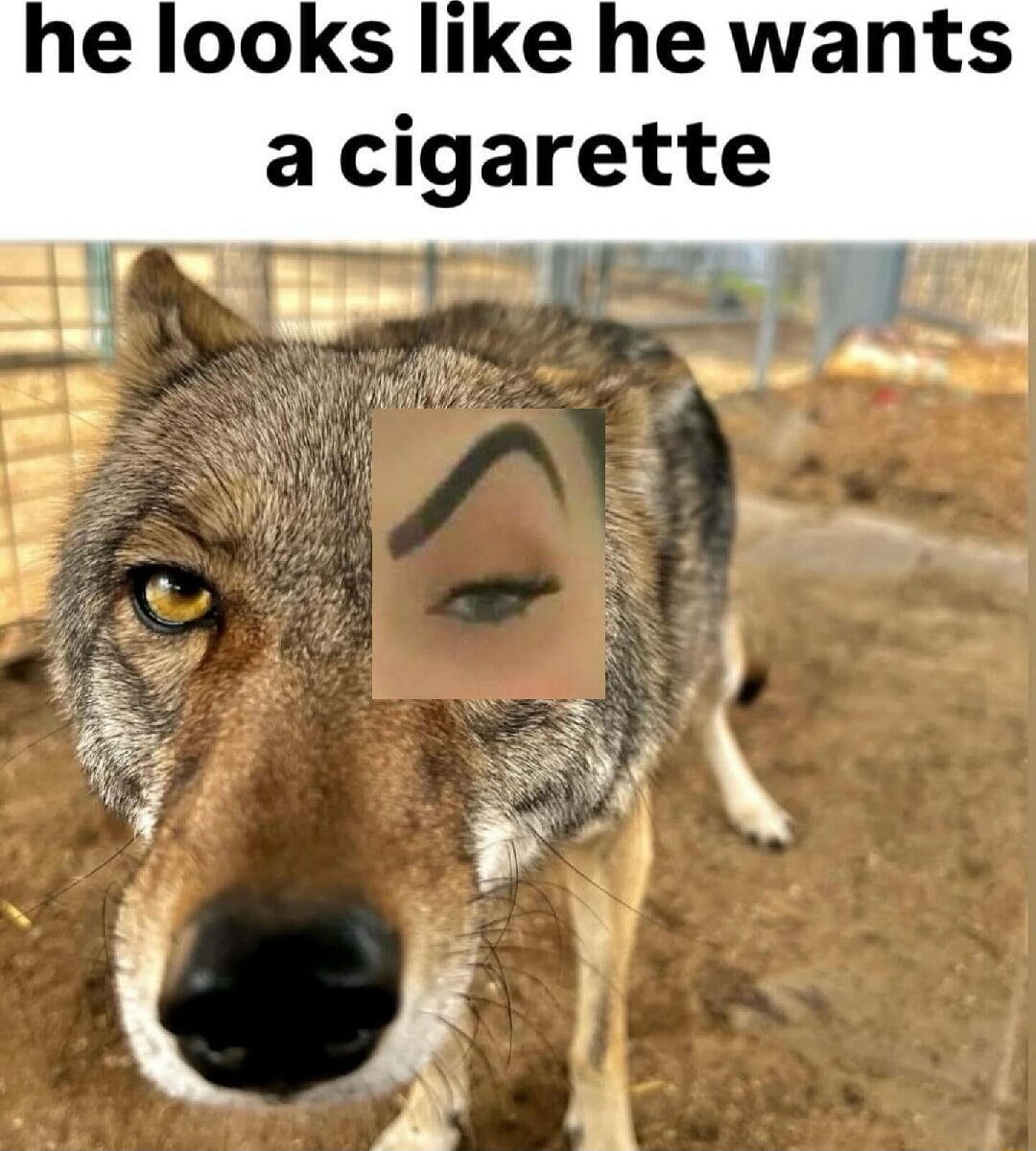 ​​​