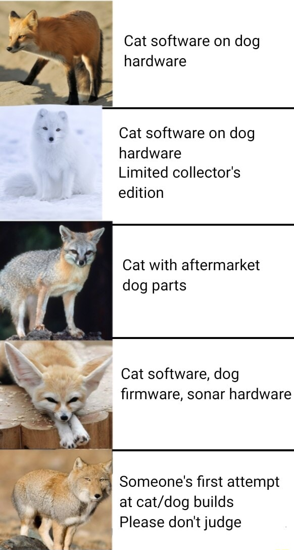 ​​​