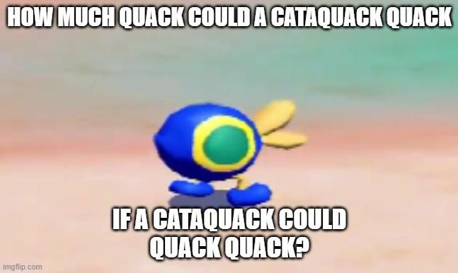 ​​​