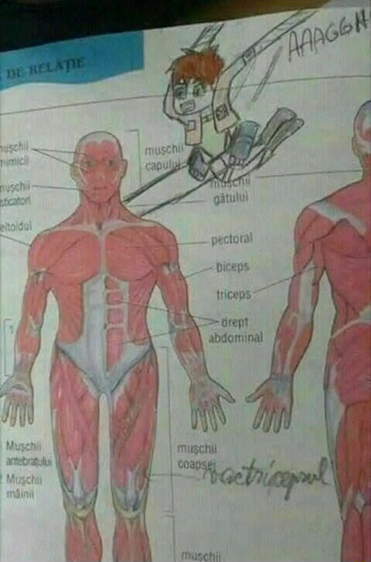 ​​​