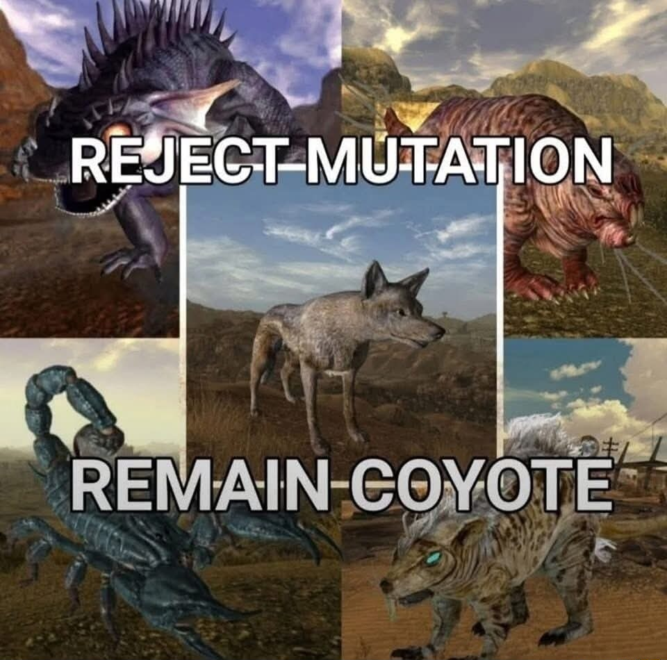 ​​​