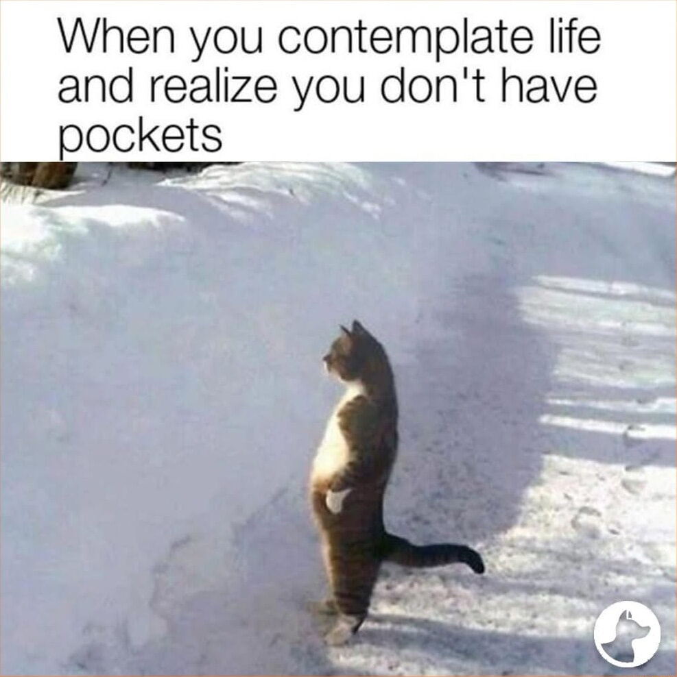 ​​​