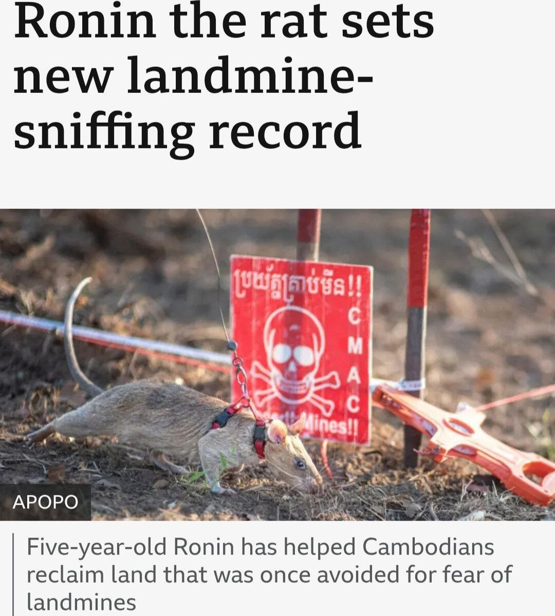 ​​​