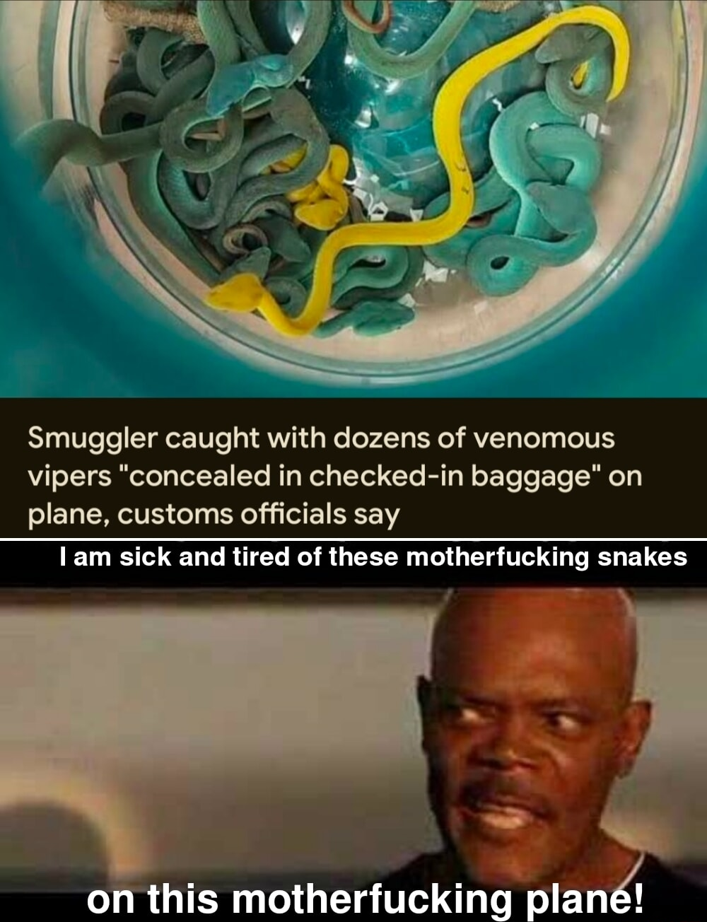 ​​​
