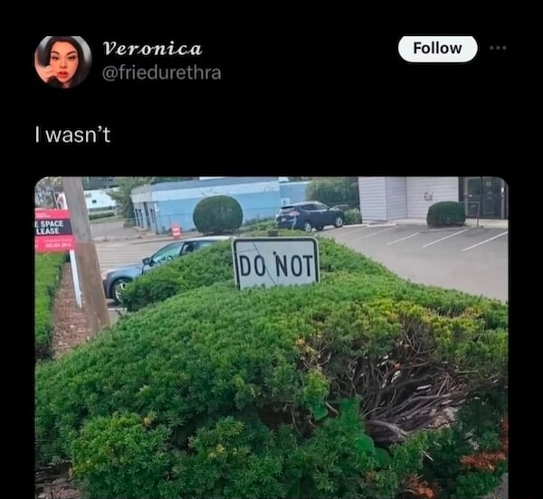 ​​​