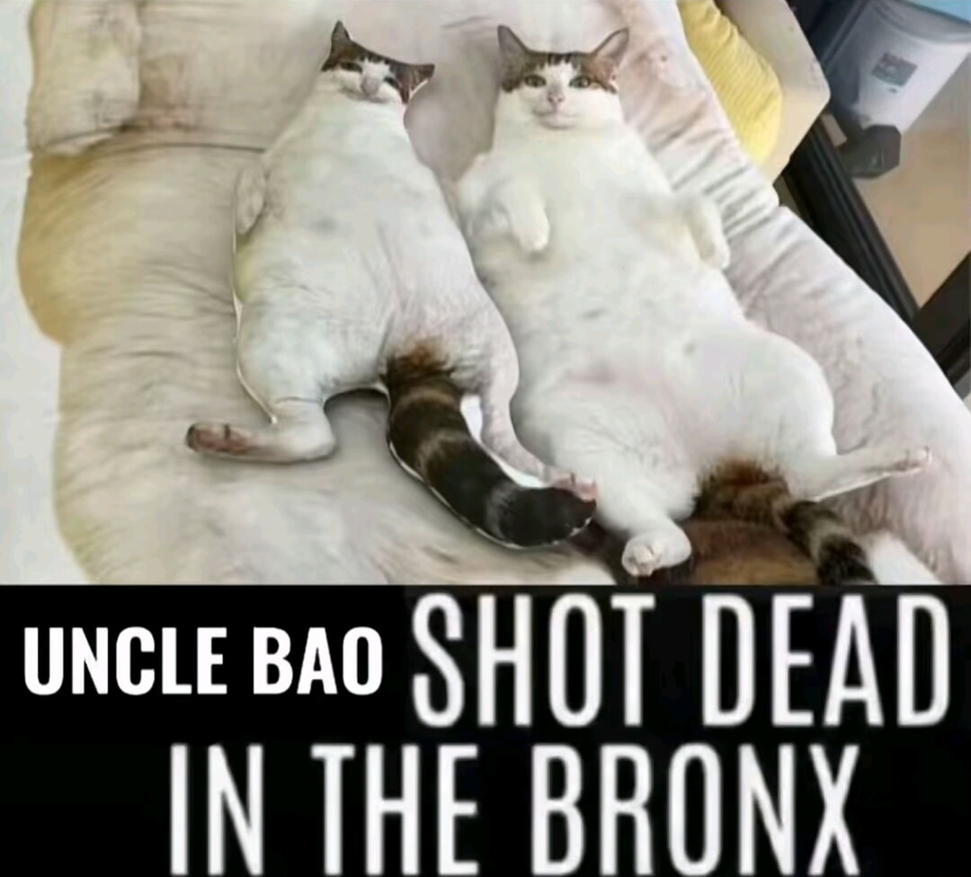 ​​​