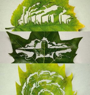 Amazing leaf art.