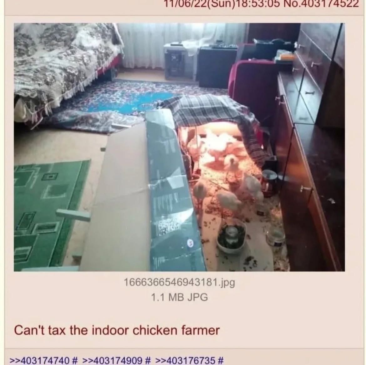 Men will do anything except paying taxes