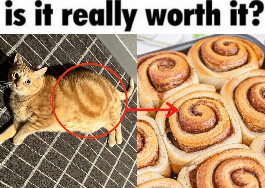 ​​​