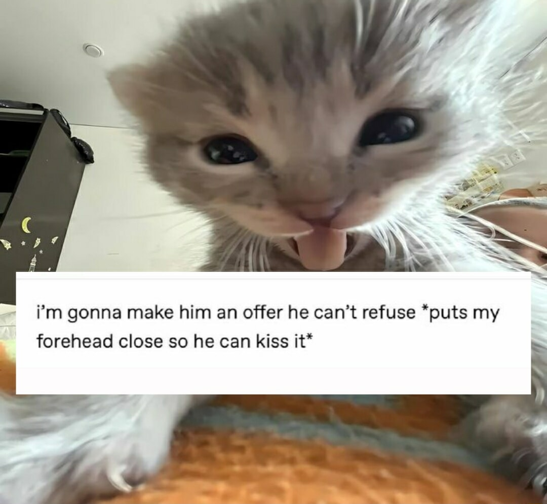 ​​​