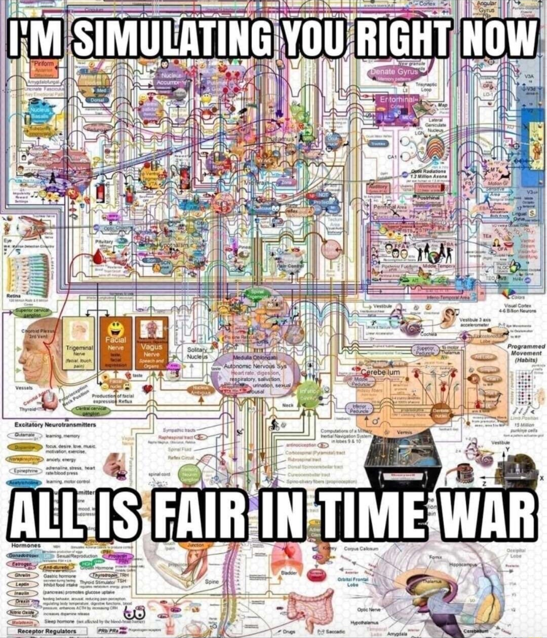 ​​​