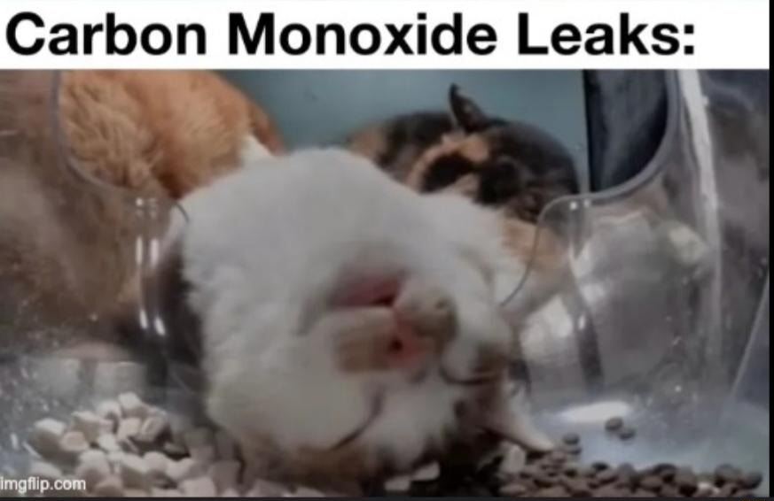 ​​​