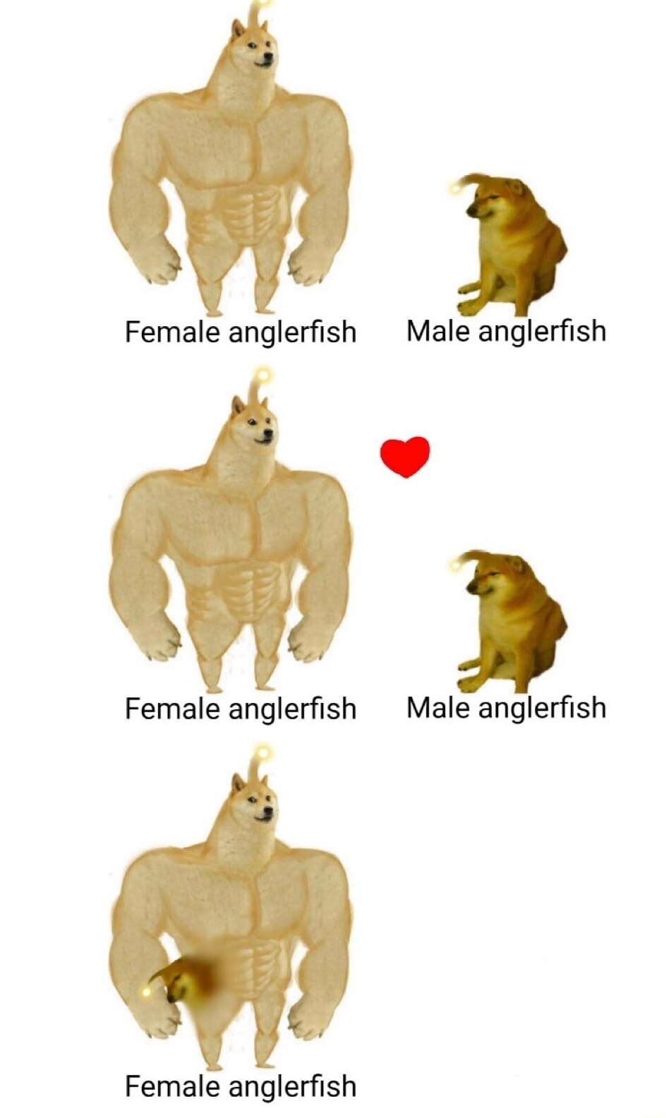 ​​​