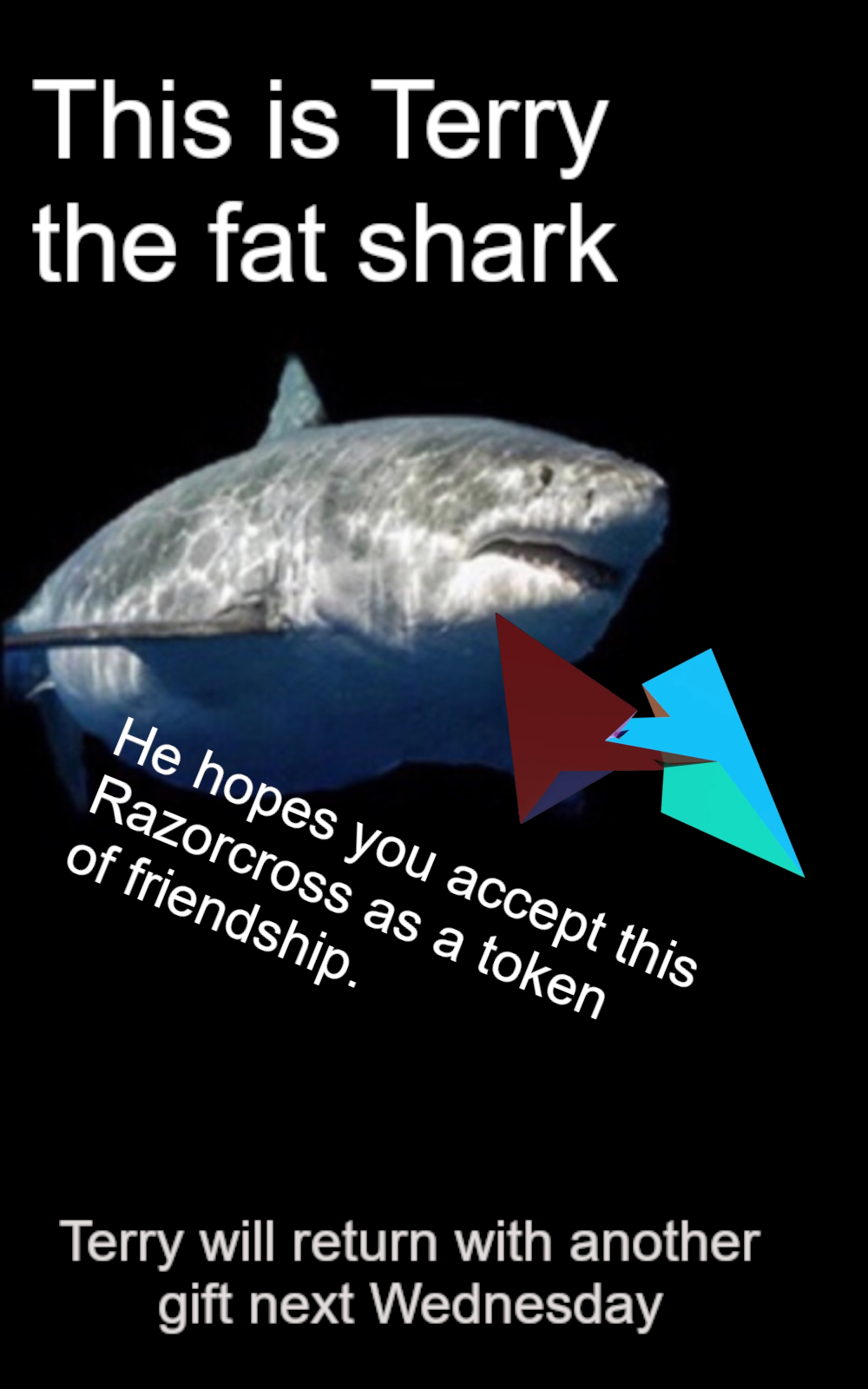 ​​​