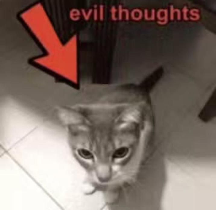 ​​​