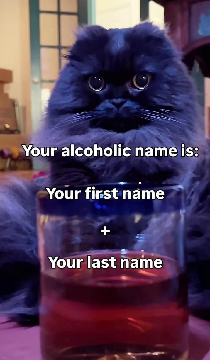 ​​​