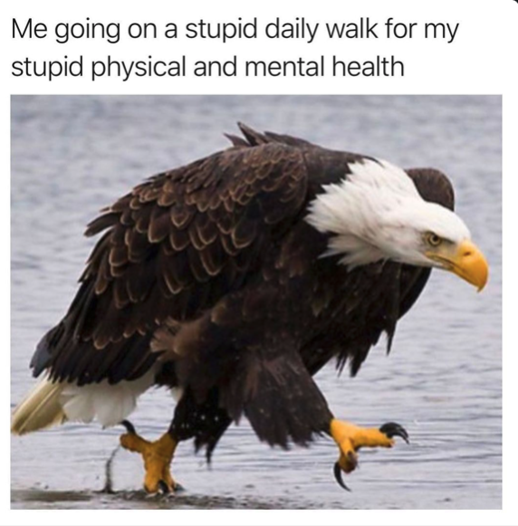Sillystupidwalk