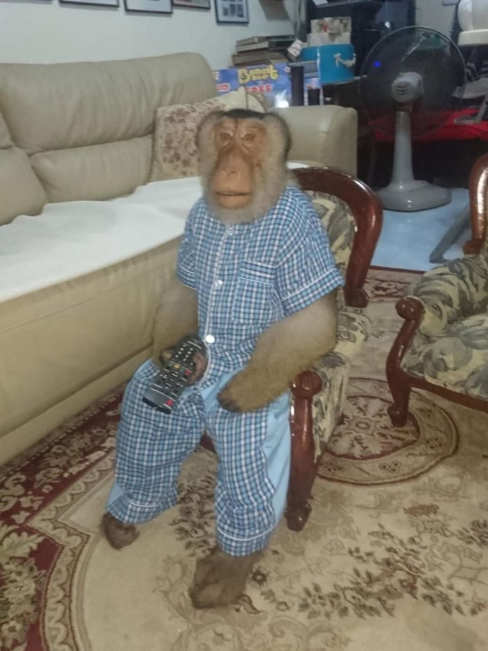 Me on friday eve, fully hidrated and at peace