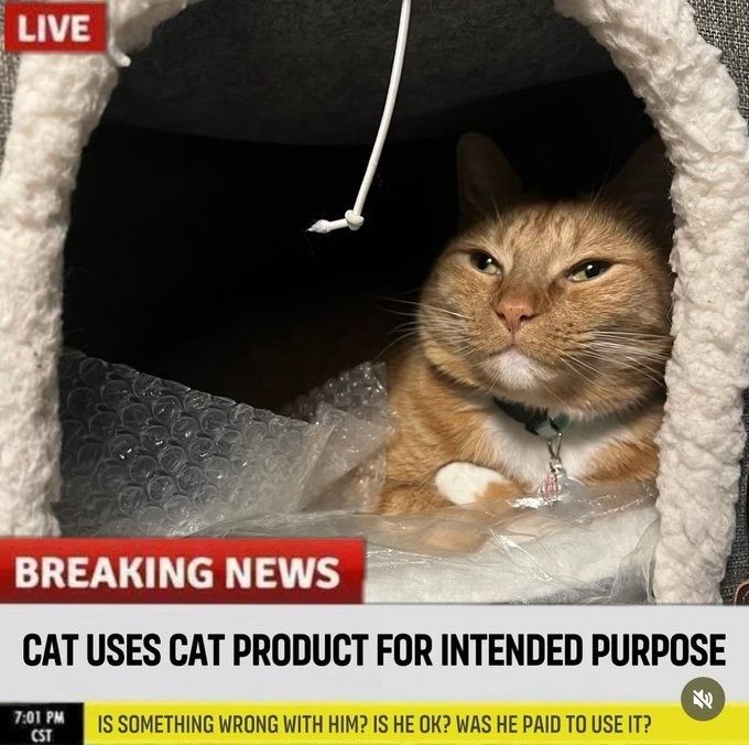 It's a christmas miracle