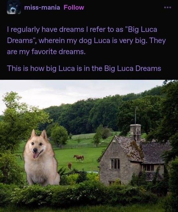Clifford dreams