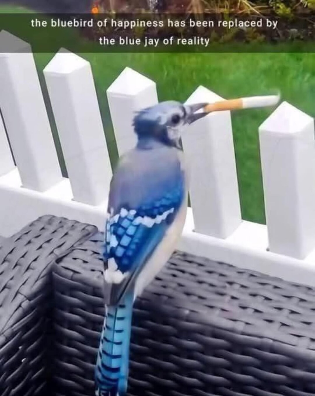 ​​​